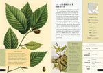 The Little Book of North American Trees: A Guide to North America's Evergreen and Deciduous Trees (Little Library of Natural History)