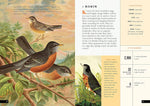 The Little Book of North American Birds: A Guide to North America's Songbirds, Waterfowl, Birds of Prey, and More (Little Library of Natural History #4)