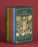 The Life Trilogy Boxset - Street Smart by David Attenborough