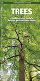 Trees: A Folding Pocket Guide to Familiar North American Plants
