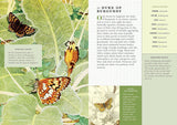 The Little Book of Butterflies: A Guide to Moths and Butterflies (Little Library of Natural History)