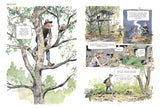 The Hidden Life of Trees: A Graphic Adaptation: (Of the International Bestseller) by Peter Wohlleben, Fred Bernard, Benjamin Flao