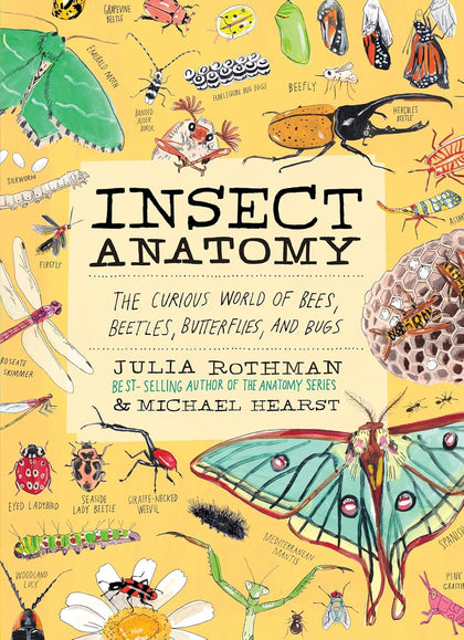 Insect Anatomy: The Curious World of of Bees, Beetles, Butterflies, and Bugs by Julia Rothman