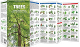 Trees: A Folding Pocket Guide to Familiar North American Plants