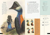 The Little Book of Birds of the World: A Guide to the World's Most Fascinating Birds (Little Library of Natural History #1)