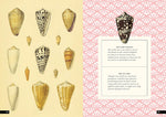 The Little Book of Shells: A Guide to Shells and the Amazing Creatures Who Make Them (Little Library of Natural History #5)