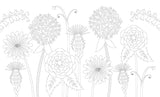 The Coloring Book of Mindfulness by Holly Macdonald