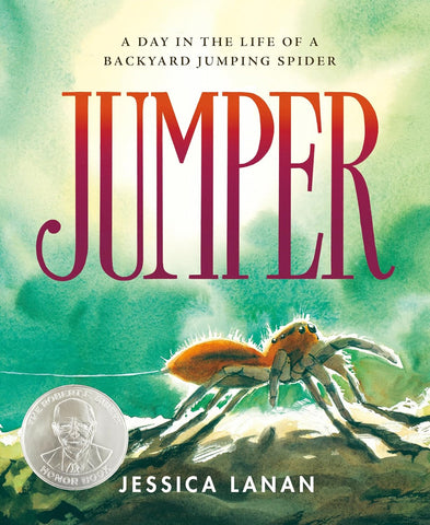 Jumper: A Day in the Life of a Backyard Jumping Spider by Jessica Lanan