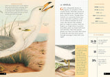 The Little Book of North American Birds: A Guide to North America's Songbirds, Waterfowl, Birds of Prey, and More (Little Library of Natural History #4)