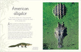 An Anthology of Aquatic Life (DK Children's Anthologies)