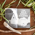 The Wild Robot Escapes (Wild Robot #2) by Peter Brown