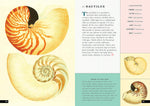 The Little Book of Shells: A Guide to Shells and the Amazing Creatures Who Make Them (Little Library of Natural History #5)