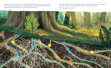 Listen to the Language of the Trees: A Story of How Forests Communicate Underground by Tera Kelley