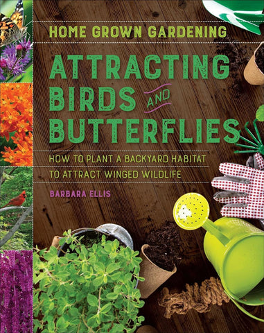 Attracting Birds and Butterflies: How to Plant a Backyard Habitat to Attract Winged Wildlife
