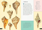 The Little Book of Shells: A Guide to Shells and the Amazing Creatures Who Make Them (Little Library of Natural History #5)