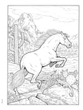 Creative Haven: Great Horses Coloring Book (Adult Coloring Books: Animals)