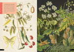 The Little Book of Insects: A Guide to Beetles, Flies, Ants, Bees, and More (Little Library of Natural History #2)