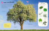 Ultimate Sticker Book Trees and Leaves (Ultimate Sticker Book) by DK