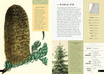 The Little Book of North American Trees: A Guide to North America's Evergreen and Deciduous Trees (Little Library of Natural History)