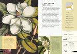 The Little Book of North American Trees: A Guide to North America's Evergreen and Deciduous Trees (Little Library of Natural History)