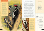 The Little Book of North American Birds: A Guide to North America's Songbirds, Waterfowl, Birds of Prey, and More (Little Library of Natural History #4)