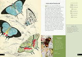 The Little Book of Butterflies: A Guide to Moths and Butterflies (Little Library of Natural History)