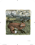 Wild Light: A Printmaker's Day & Night by Angela Harding