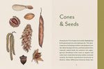 Knowing the Trees: Discover the Forest from Seed to Snag by Ken Keffer