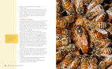 Beekeeping for Beginners: How to Raise Your First Bee Colonies by Amber Bradshaw