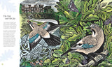 Wilding: How to Bring Wildlife Back - The New Illustrated Guide by Isabella Tree