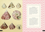 The Little Book of Shells: A Guide to Shells and the Amazing Creatures Who Make Them (Little Library of Natural History #5)