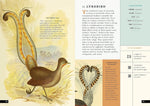 The Little Book of Birds of the World: A Guide to the World's Most Fascinating Birds (Little Library of Natural History #1)