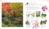 Plants and Fungi: The Definitive Visual Guide (DK Definitive Visual Encyclopedias)