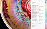 Amazing Glaze Recipes and Combinations: 200+ Surefire Finishes for Low-Fire, Mid-Range, and High-Fire Pottery (Mastering Ceramics) by Gabriel Kline