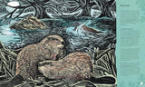 Wilding: How to Bring Wildlife Back - The New Illustrated Guide by Isabella Tree