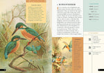 The Little Book of Birds of the World: A Guide to the World's Most Fascinating Birds (Little Library of Natural History #1)