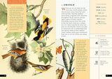 The Little Book of North American Birds: A Guide to North America's Songbirds, Waterfowl, Birds of Prey, and More (Little Library of Natural History #4)