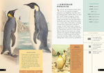 The Little Book of Birds of the World: A Guide to the World's Most Fascinating Birds (Little Library of Natural History #1)