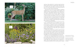50 Beautiful Deer-Restitant Plants: The Prettiest Annuals, Perennials, Bulbs, and Shrubs That Deer Don't Eat.