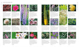 Encyclopedia of Garden Plants for Every Location: An Expert Guide to More Than 3,000 Plants By DK