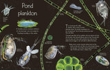 An Anthology of Aquatic Life (DK Children's Anthologies)