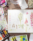 Sketching Nature: The Beginner's Guide to Keeping a Botanical Sketchbook by Dianne Sutherland