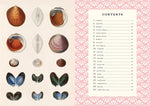 The Little Book of Shells: A Guide to Shells and the Amazing Creatures Who Make Them (Little Library of Natural History #5)