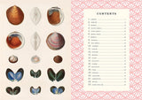 The Little Book of Shells: A Guide to Shells and the Amazing Creatures Who Make Them (Little Library of Natural History #5)