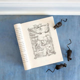 Tumtum & Nutmeg: Adventures Beyond Nutmouse Hall (Tumtum & Nutmeg #1) by Emily Bearn