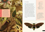 The Little Book of Insects: A Guide to Beetles, Flies, Ants, Bees, and More (Little Library of Natural History #2)