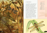 The Little Book of Insects: A Guide to Beetles, Flies, Ants, Bees, and More (Little Library of Natural History #2)