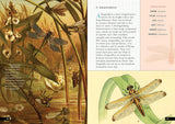 The Little Book of Insects: A Guide to Beetles, Flies, Ants, Bees, and More (Little Library of Natural History #2)