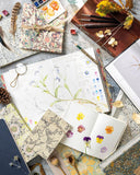 Sketching Nature: The Beginner's Guide to Keeping a Botanical Sketchbook by Dianne Sutherland