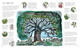 Wilding: How to Bring Wildlife Back - The New Illustrated Guide by Isabella Tree